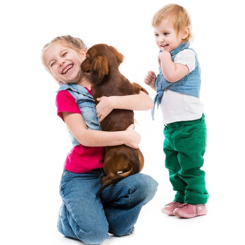 are dachshunds good with kids dachshund space