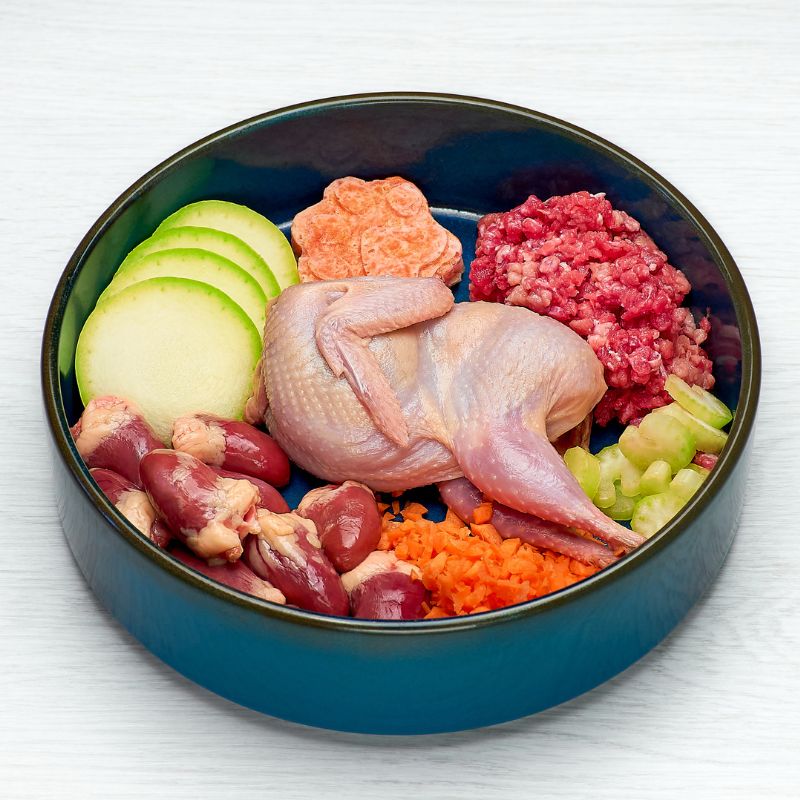 dachshund raw diet dachshund space