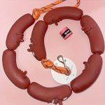 dachshund sausage leash