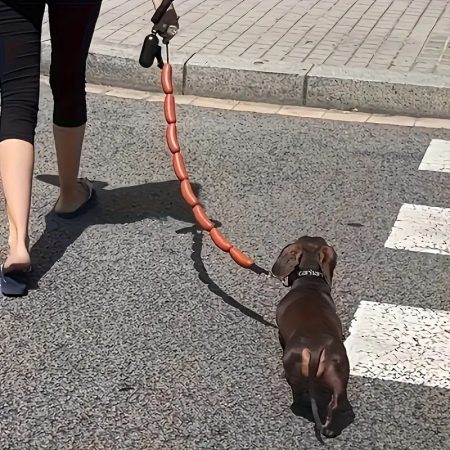 dachshund sausage leash