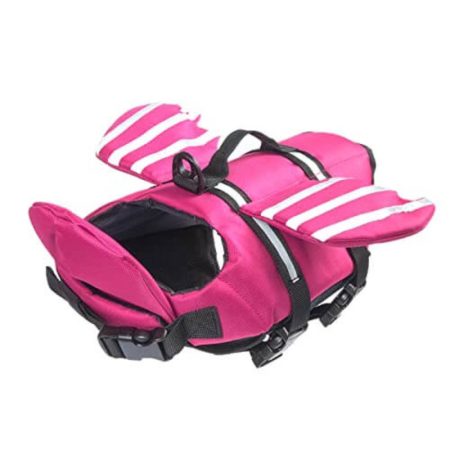dragon dachshund life jacket