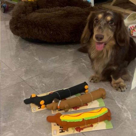 sausage dog squeaky toy