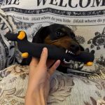 sausage dog squeaky toy