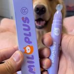 dachshund silky paw roller