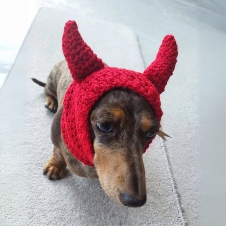 dachshund devil snood hat