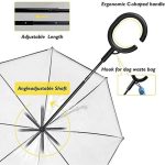 dachshund leash umbrella