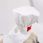 dachshund master chef costume