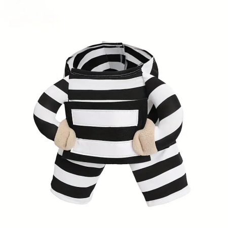 dachshund prisoner costume