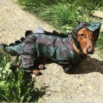 dinosaur dachshund costume