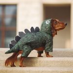 Dinosaur Dachshund Costume - Image 4