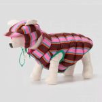 reversible dachshund winter jacket