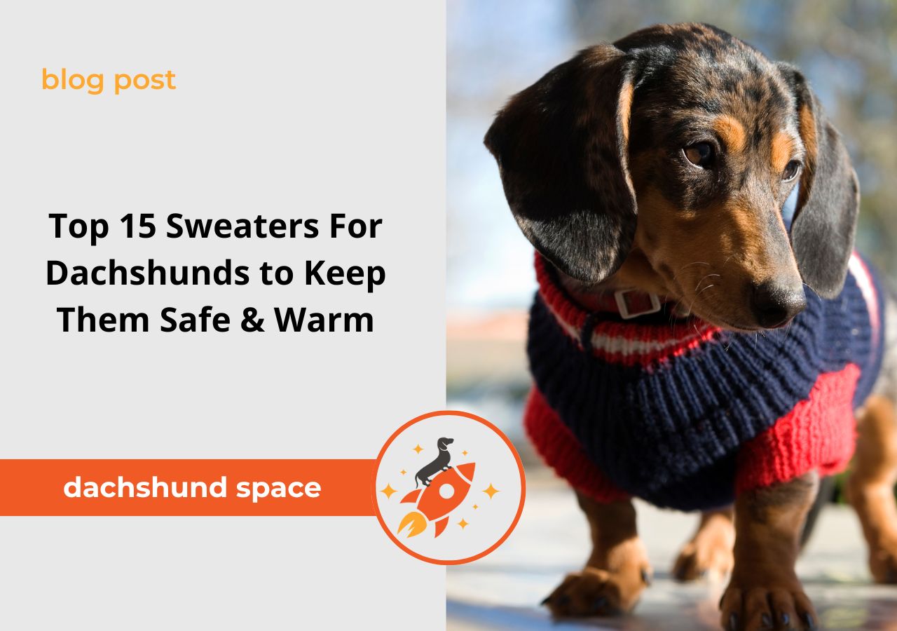 dachshund space sweaters for dachshunds