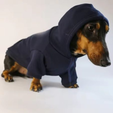 basic dachshund hoodie