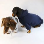 basic dachshund hoodie