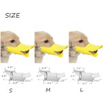 dachshund dog muzzle