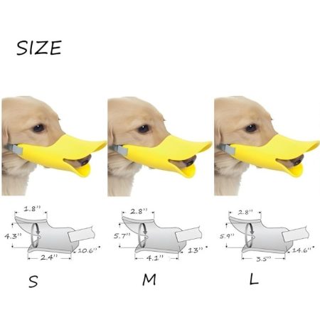 dachshund dog muzzle