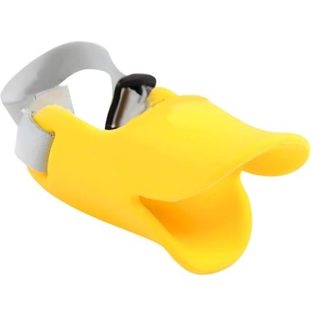 dachshund dog muzzle