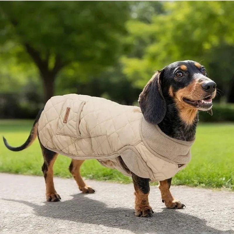 dachshund-space-quilted-dachshund-dog-coat-1 quilted dachshund dog coat