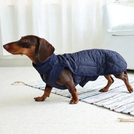 quilted dachshund dog coat