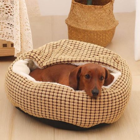 snuggle pod dachshund bed