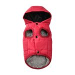 cozytail dachshund vest