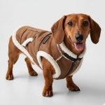 dachshund space cozytrail vest