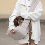 dachshund calm carry sling
