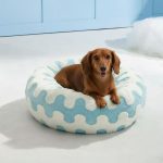 dachshund calming donut bed