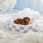 dachshund checkmate bed