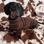 dachshund cocoa ribbed sweater