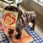 dachshund heritage plaid shirt
