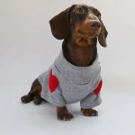 dachshund love patch sweatshirt