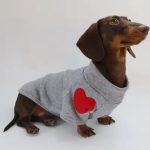 dachshund love patch sweatshirt