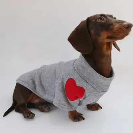dachshund love patch sweatshirt
