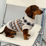 dachshund nordic knit sweater