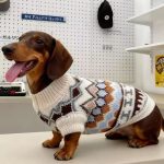dachshund nordic knit sweater
