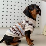 dachshund nordic knit sweater