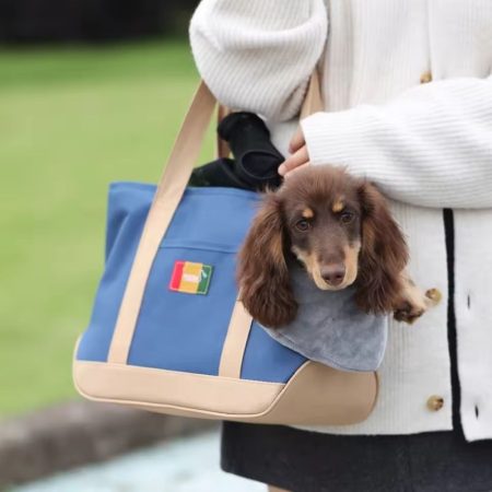 dachshund urban tote carrier