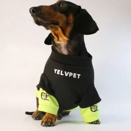doxie streetwear hoodie