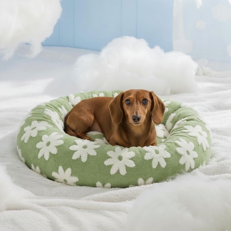dachshund-space-sausage-dog-snuggle-bed-1 sausage dog snuggle bed