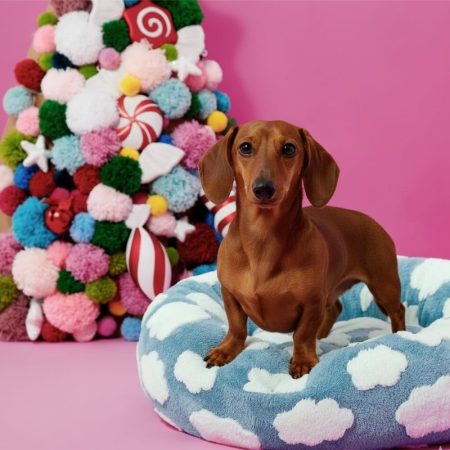 sausage dog snuggle bed