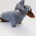 sharky dachshund hoodie