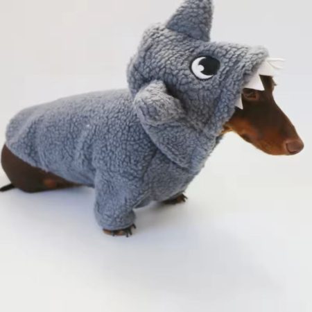 sharky dachshund hoodie