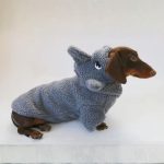 sharky dachshund hoodie