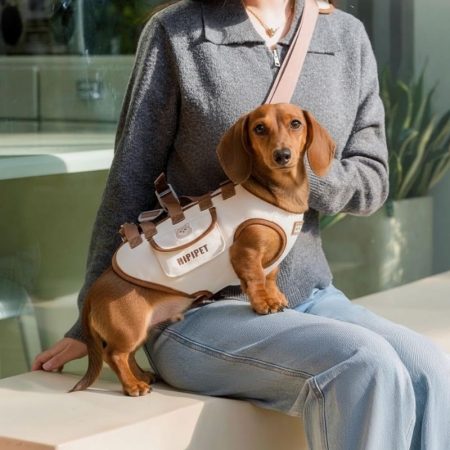 shoulder carrier for dachshunds