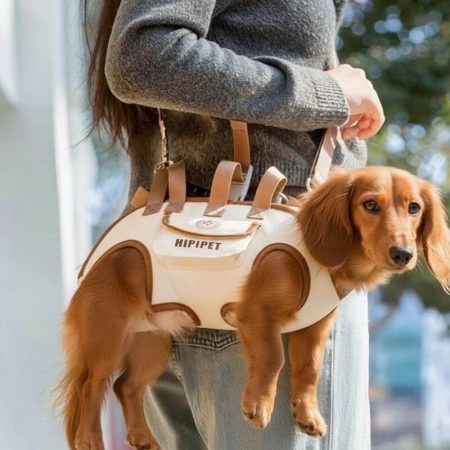 shoulder carrier for dachshunds