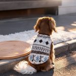 traditionalvibes dachshund sweater