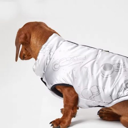 dachshund space vest