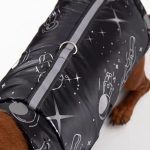 dachshund space vest