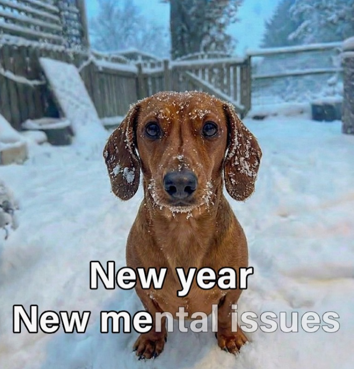 dachshund memes